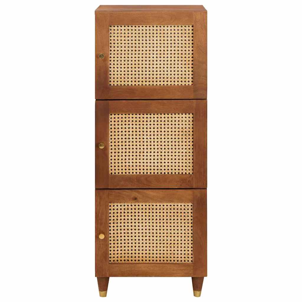 Grand meuble Marron 40 x 33.5 x 110 cm