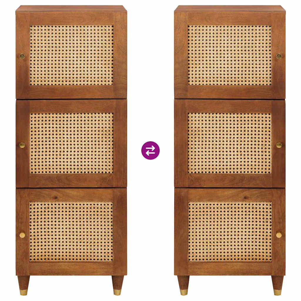 Grand meuble Marron 40 x 33.5 x 110 cm