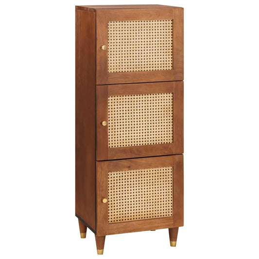Grand meuble Marron 40 x 33.5 x 110 cm